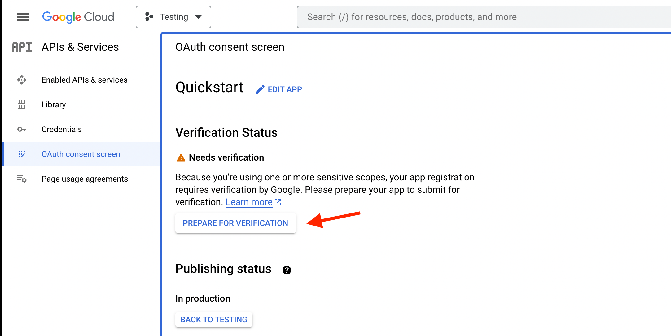 google-prepare-verification.png
